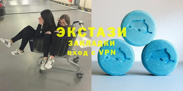 стаф Аркадак