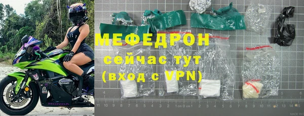 стаф Аркадак