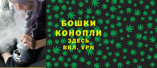 стаф Аркадак