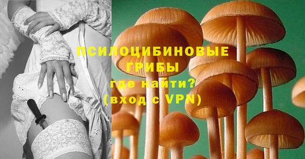 стаф Армянск